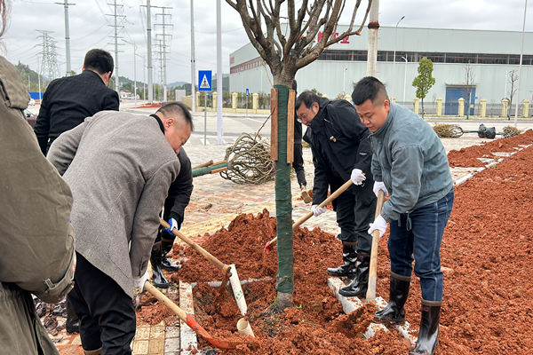 202303271622594250.png 202303271622594250.png